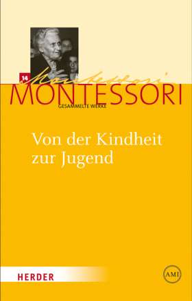 Von der Kindheit zur Jugend. Grundschule - Sekundarschule - Universität